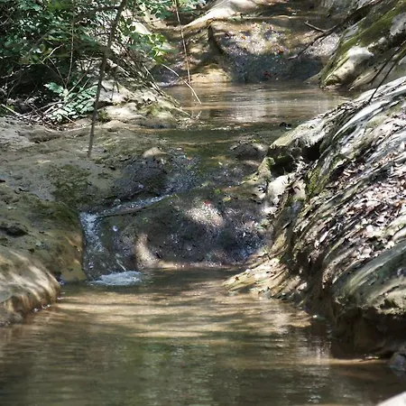 Κατάλυμα σε φάρμα Podere Campopiano *
